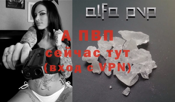 стаф Иннополис