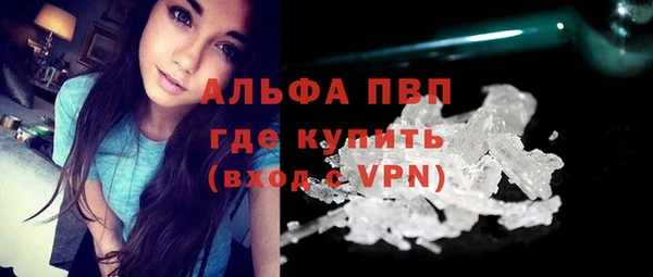 мдпв Инта