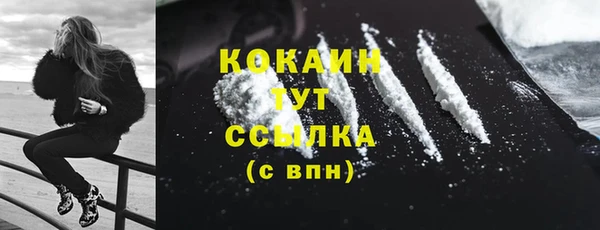 прущие грибы Зерноград