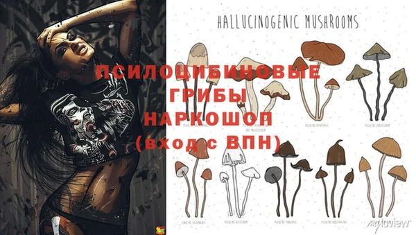 кокс Зеленокумск
