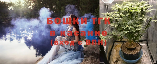 прущие грибы Зерноград
