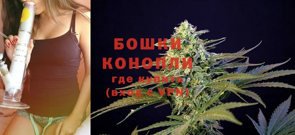 ГАЛЛЮЦИНОГЕННЫЕ ГРИБЫ Усинск