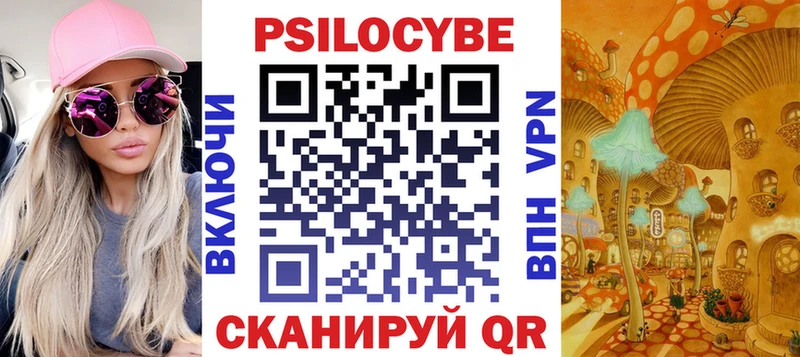 Купить  Пестово  Галлюциногенные грибы Psilocybe 